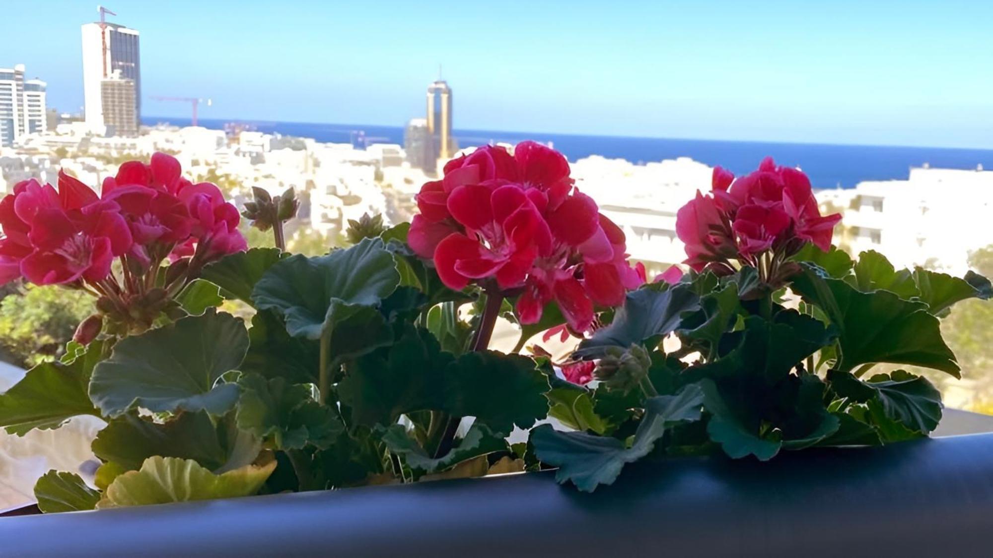 Apartment Super Bright And Spacious Seaview Saint Julian's